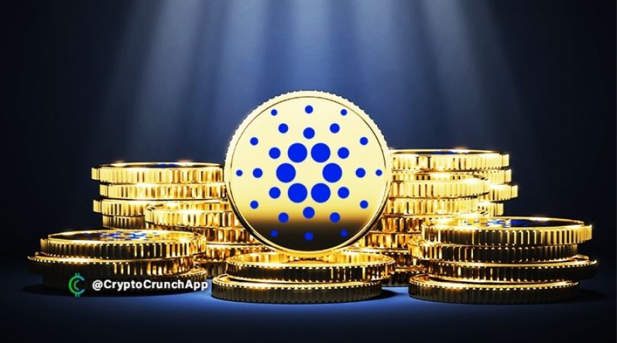 بیش-از-600،000-آدرس-استیک-کننده-در-کاردانو-ثبت-شد- 